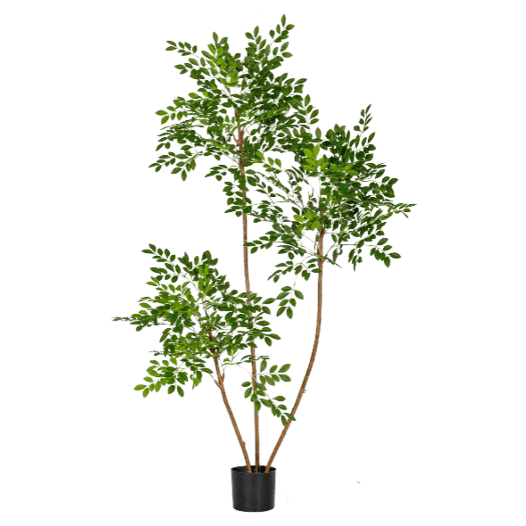 Chinese Money Tree (Faux) - Artificial Plant - 1838465395250561041 - 0 - Tumbleweed Plants - Online Plant Delivery Singapore