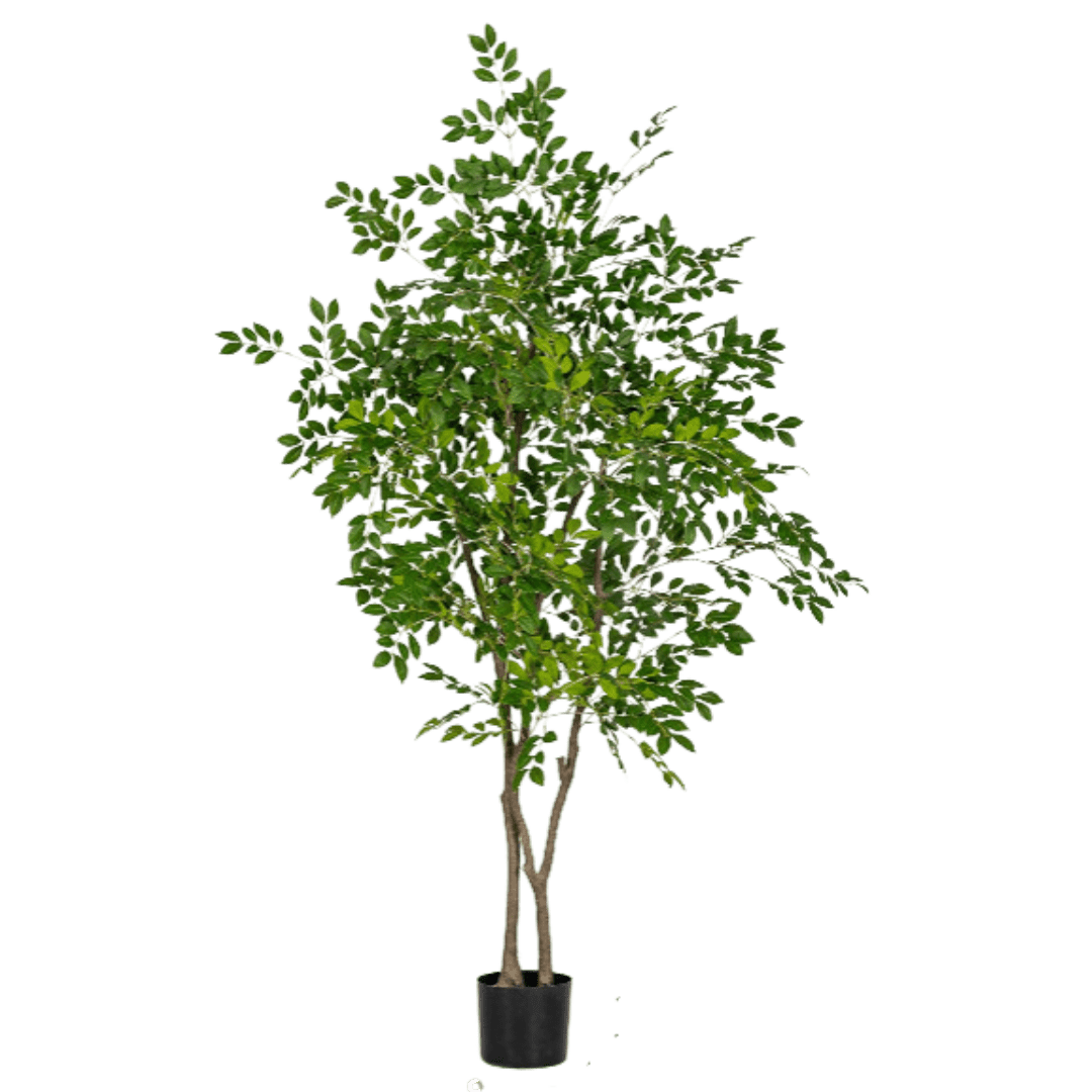 Chinese Money Tree (Faux) - Artificial Plant - 1838465395250561053 - 0 - Tumbleweed Plants - Online Plant Delivery Singapore