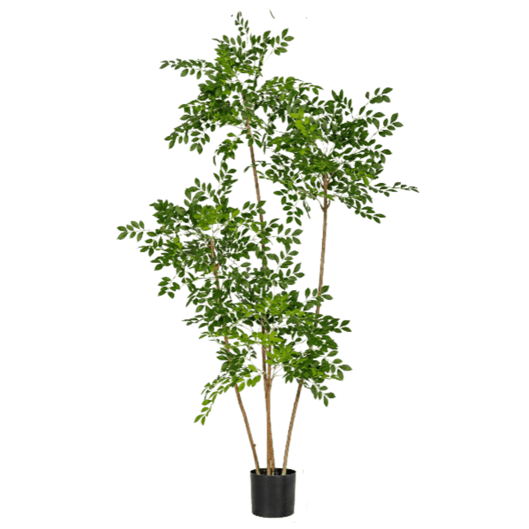 Chinese Money Tree (Faux) - Artificial Plant - POTT - CHIN - M - 6560 - Tumbleweed Plants - Online Plant Delivery Singapore