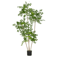 Chinese Money Tree (Faux) - Artificial Plant - POTT - CHIN - M - 6560 - Tumbleweed Plants - Online Plant Delivery Singapore