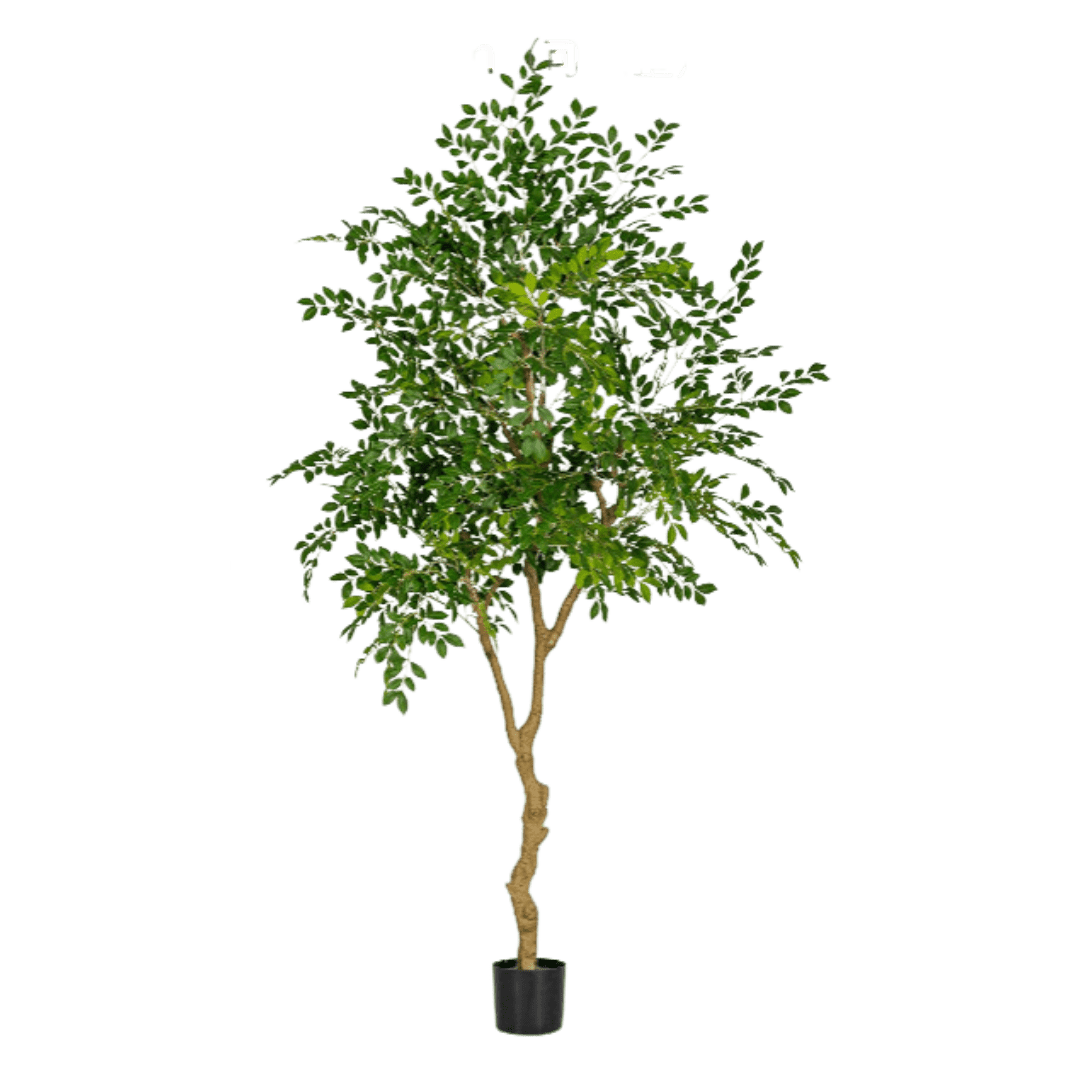 Chinese Money Tree (Faux) - Artificial Plant - POTT - CHIN - M - 6561 - Tumbleweed Plants - Online Plant Delivery Singapore