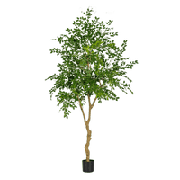 Chinese Money Tree (Faux) - Artificial Plant - POTT - CHIN - M - 6561 - Tumbleweed Plants - Online Plant Delivery Singapore