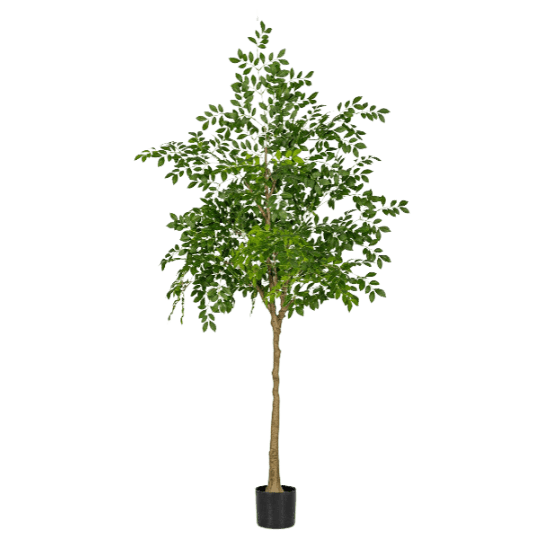 Chinese Money Tree (Faux) - Artificial Plant - 1838465395250561065 - 0 - Tumbleweed Plants - Online Plant Delivery Singapore