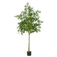 Chinese Money Tree (Faux) - Artificial Plant - 1838465395250561065 - 0 - Tumbleweed Plants - Online Plant Delivery Singapore