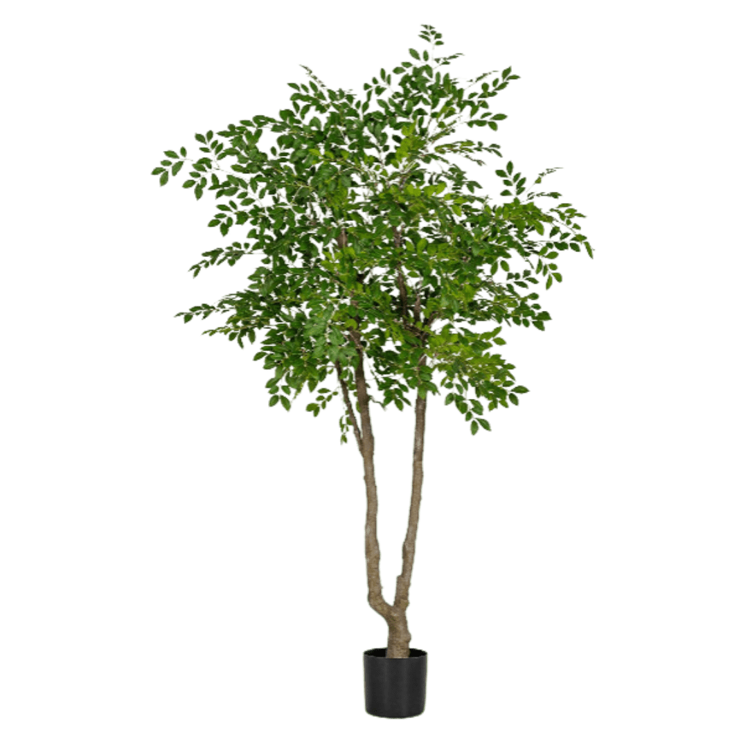 Chinese Money Tree (Faux) - Artificial Plant - 1838465395250561061 - 0 - Tumbleweed Plants - Online Plant Delivery Singapore