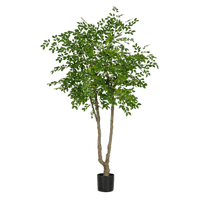 Chinese Money Tree (Faux) - Artificial Plant - 1838465395250561061 - 0 - Tumbleweed Plants - Online Plant Delivery Singapore