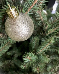 Christmas Ball Ornaments Set - Add Ons - ADD - CHRI - RDCM - 6621 - Tumbleweed Plants - Online Plant Delivery Singapore