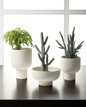 Cloud Planters - Planter - 5780271428370 - Tumbleweed Plants - Online Plant Delivery Singapore