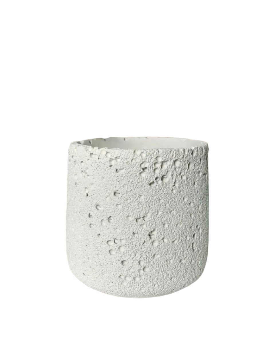 Coarse Cylinder Planter - white - Pots - Tumbleweed Plants - Online Plant Delivery Singapore