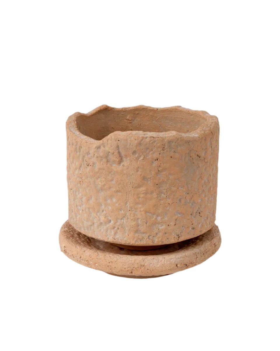 Coral Stone Ceramic Planter - tall - Pots - Tumbleweed Plants - Online Plant Delivery Singapore