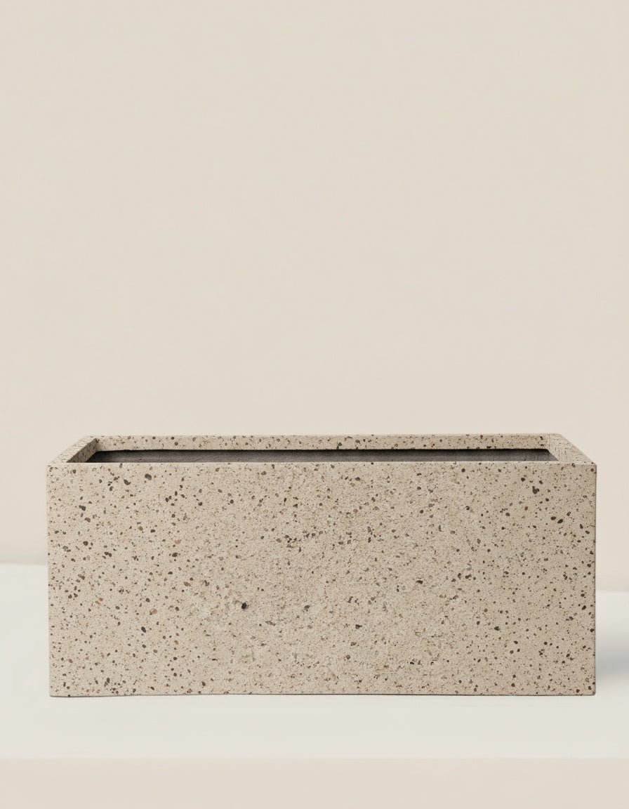 COSMOS Planter Box - Planter - PLAN - MARI - GLX - 6722 - Tumbleweed Plants - Online Plant Delivery Singapore