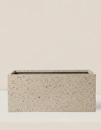 COSMOS Planter Box - Planter - PLAN - MARI - GLX - 6722 - Tumbleweed Plants - Online Plant Delivery Singapore