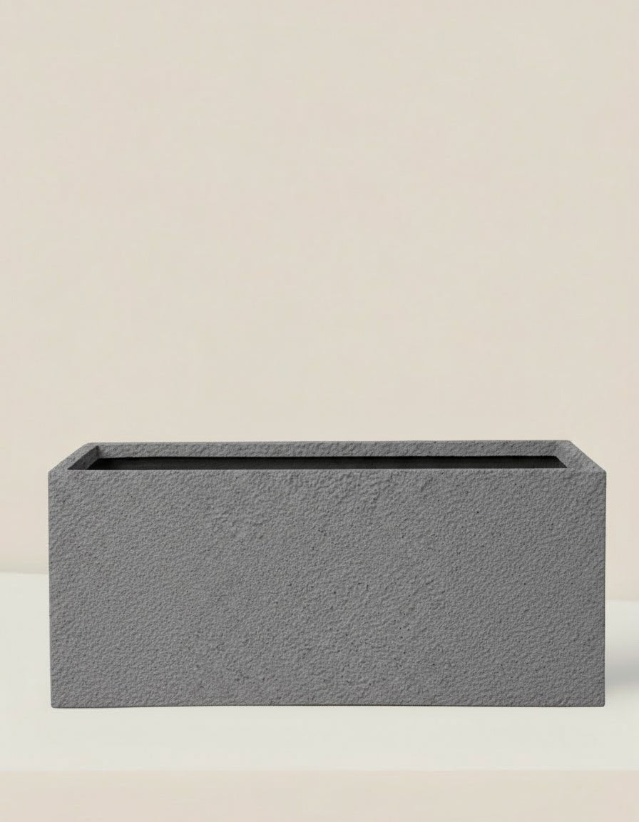 COSMOS Planter Box - Planter - PLAN - MARI - GLX - 6721 - Tumbleweed Plants - Online Plant Delivery Singapore
