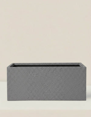 COSMOS Planter Box - Planter - PLAN - MARI - GLX - 6721 - Tumbleweed Plants - Online Plant Delivery Singapore