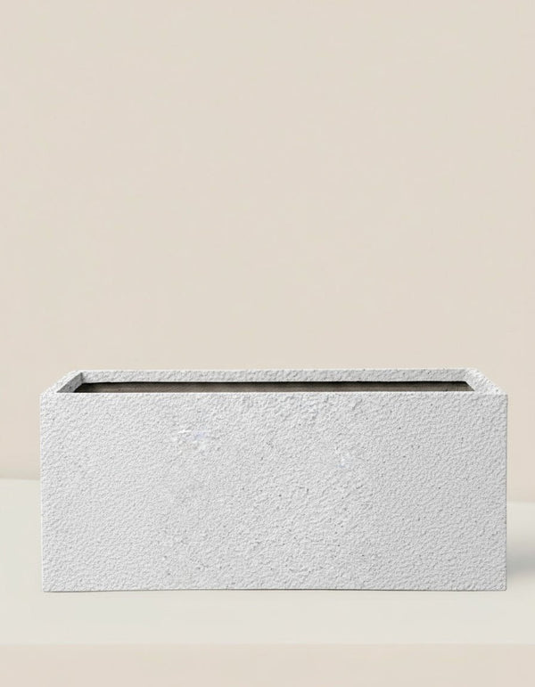 COSMOS Planter Box - Planter - PLAN - MARI - GLX - 6720 - Tumbleweed Plants - Online Plant Delivery Singapore