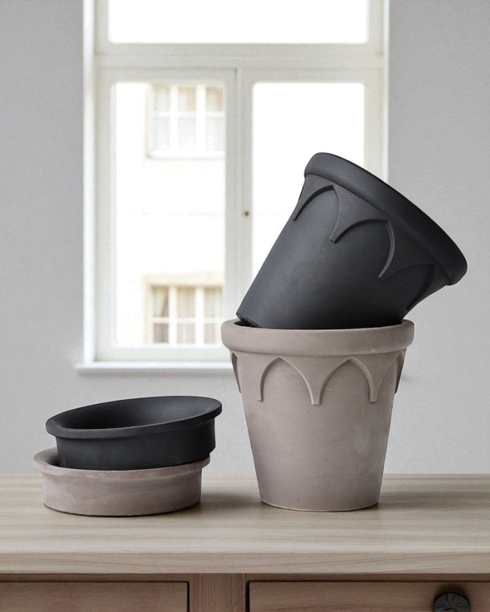 Crown Planter - Planter - 5486229020147 - Tumbleweed Plants - Online Plant Delivery Singapore