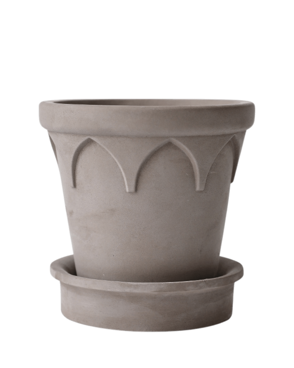 Crown Planter - Planter - 5486229020147 - Tumbleweed Plants - Online Plant Delivery Singapore