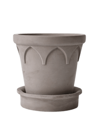 Crown Planter - Planter - 5486229020147 - Tumbleweed Plants - Online Plant Delivery Singapore