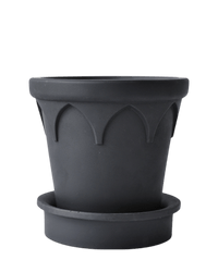 Crown Planter - Planter - 5486229020148 - Tumbleweed Plants - Online Plant Delivery Singapore