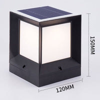 Cube Solar Outdoor Lights - Garden Lights - 5404480021238 - Tumbleweed Plants - Online Plant Delivery Singapore