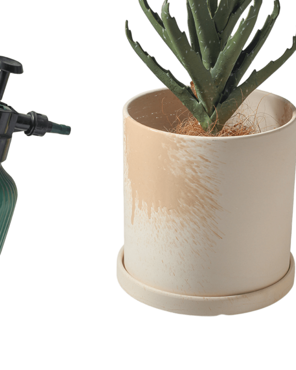 Cylinder Pot - Small - Planter - 4763524261541 - Tumbleweed Plants - Online Plant Delivery Singapore