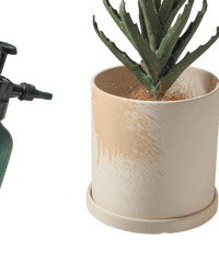 Cylinder Pot - Small - Planter - 4763524261541 - Tumbleweed Plants - Online Plant Delivery Singapore