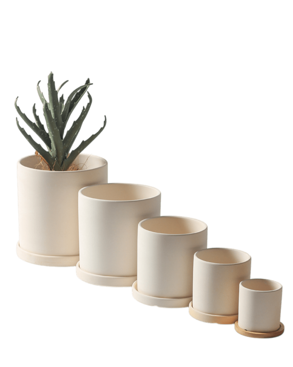 Cylinder Pot - Small - Planter - 4763524261541 - Tumbleweed Plants - Online Plant Delivery Singapore