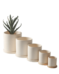 Cylinder Pot - Small - Planter - 4763524261541 - Tumbleweed Plants - Online Plant Delivery Singapore