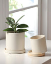 Cylinder Pot - Small - Planter - 4763524261541 - Tumbleweed Plants - Online Plant Delivery Singapore
