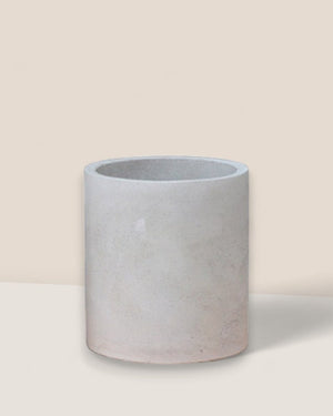 Cylindrical Cement Pot - Pots - 3429967821645 - Tumbleweed Plants - Online Plant Delivery Singapore