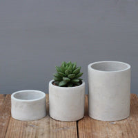 Cylindrical Cement Pot - Pots - 3429967821645 - Tumbleweed Plants - Online Plant Delivery Singapore