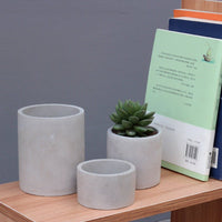 Cylindrical Cement Pot - Pots - 3429967821645 - Tumbleweed Plants - Online Plant Delivery Singapore