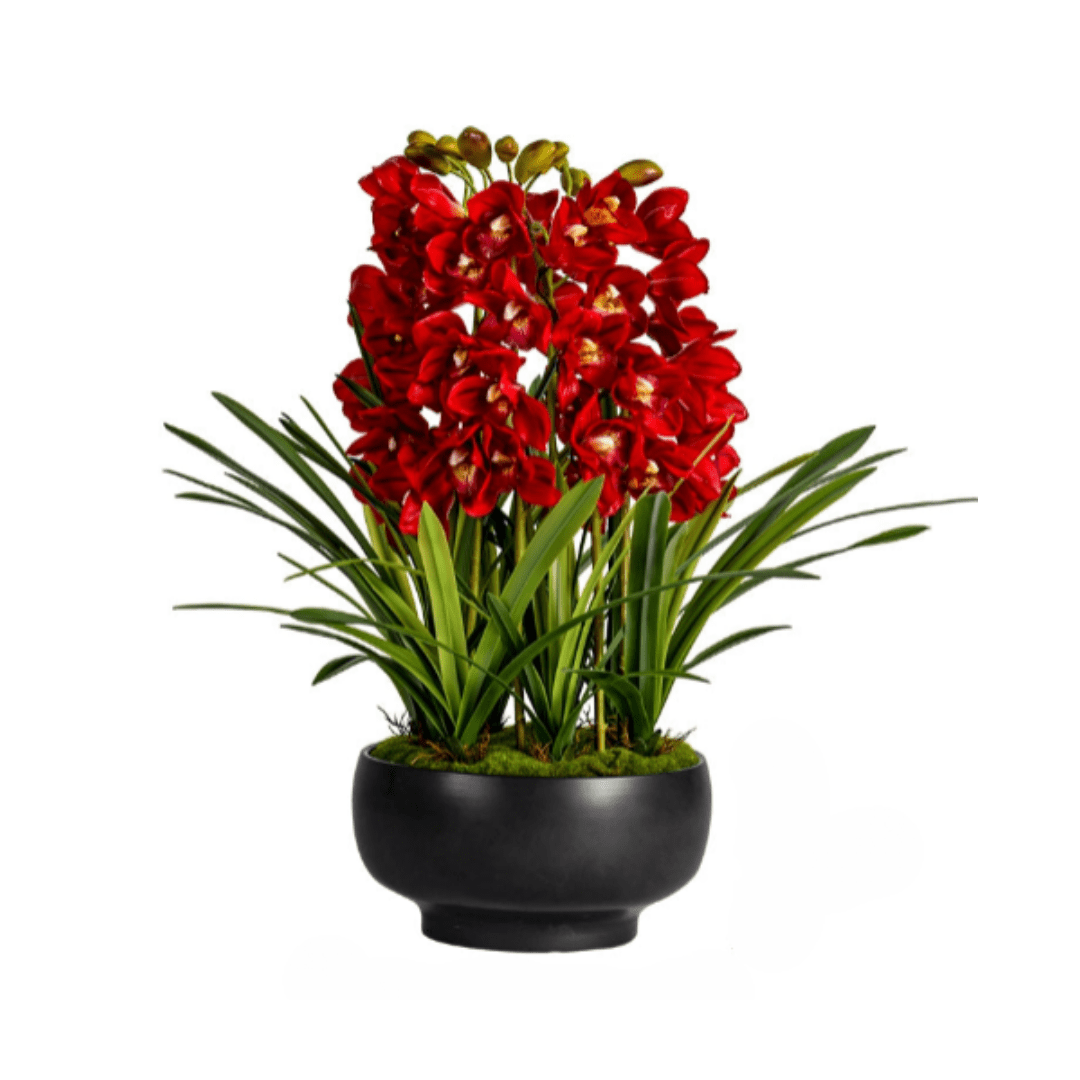 Cymbidium Flowers Arrangement (Faux) - Artificial Plant - 1838465442990002183 - 0 - Tumbleweed Plants - Online Plant Delivery Singapore