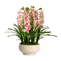 Cymbidium Flowers Arrangement (Faux) - Artificial Plant - 1838465442990002179 - 0 - Tumbleweed Plants - Online Plant Delivery Singapore