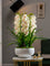 Cymbidium Flowers Arrangement (Life-like Artificial)