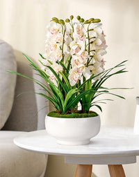 Cymbidium Flowers Arrangement (Faux) - Artificial Plant - 1838465442990002177 - 0 - Tumbleweed Plants - Online Plant Delivery Singapore