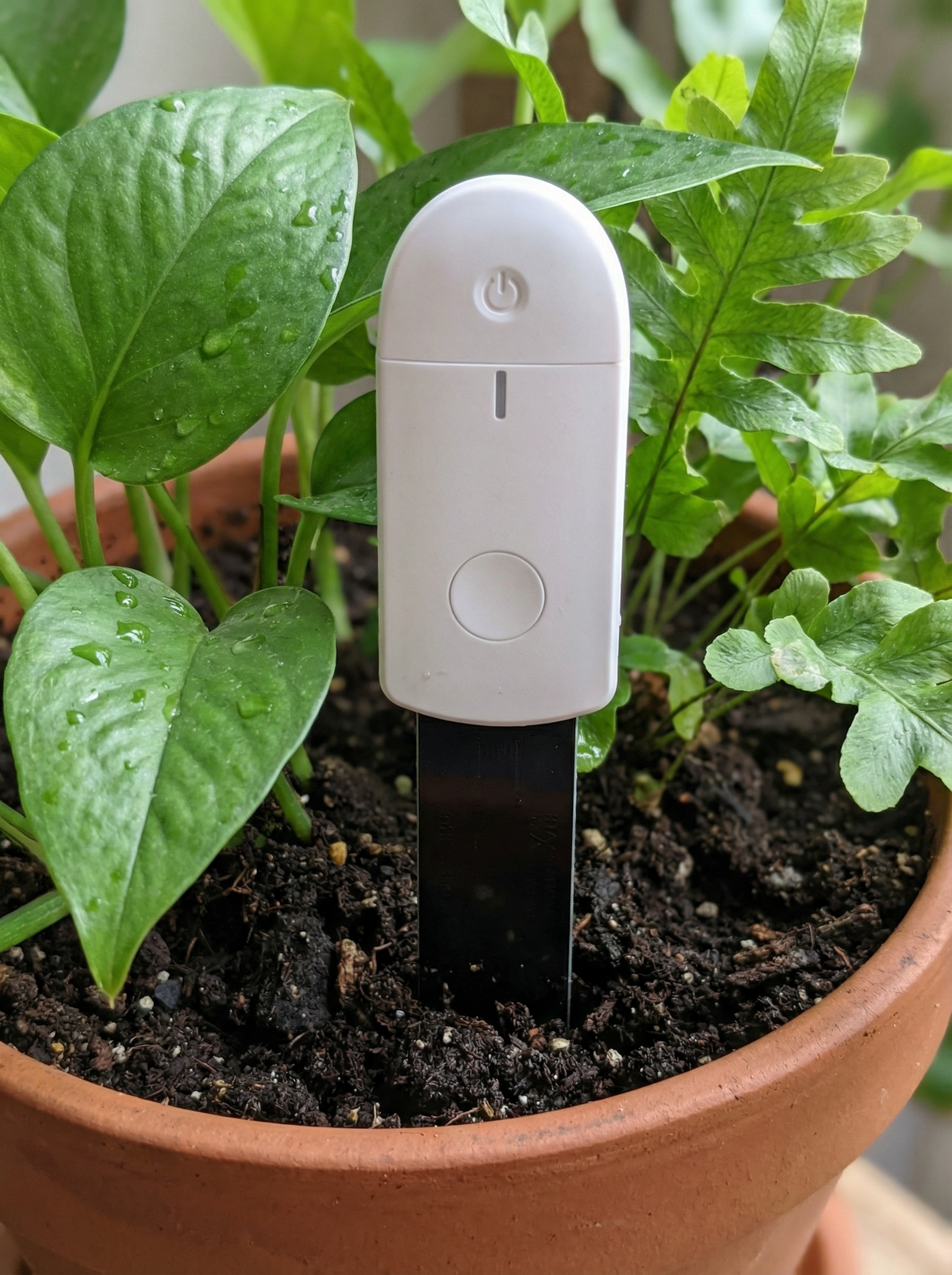 PlantPulse Watering Meter