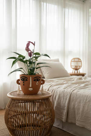 Anthurium Andraeanum "Zizou purple" - Potted plant -  Tumbleweed Plants