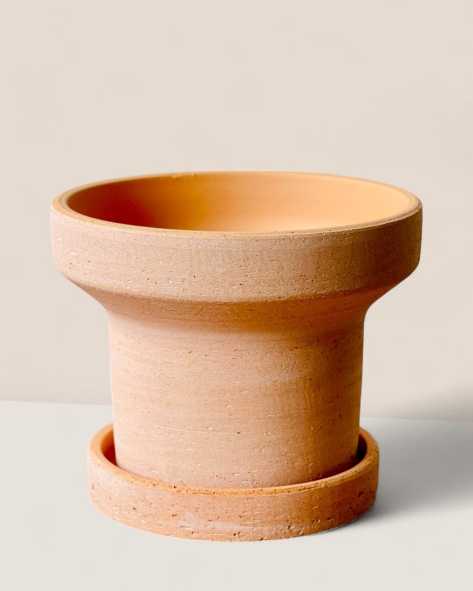 Dara Terracotta Pot - Pots - POTS - DARA - 6421 - Tumbleweed Plants - Online Plant Delivery Singapore