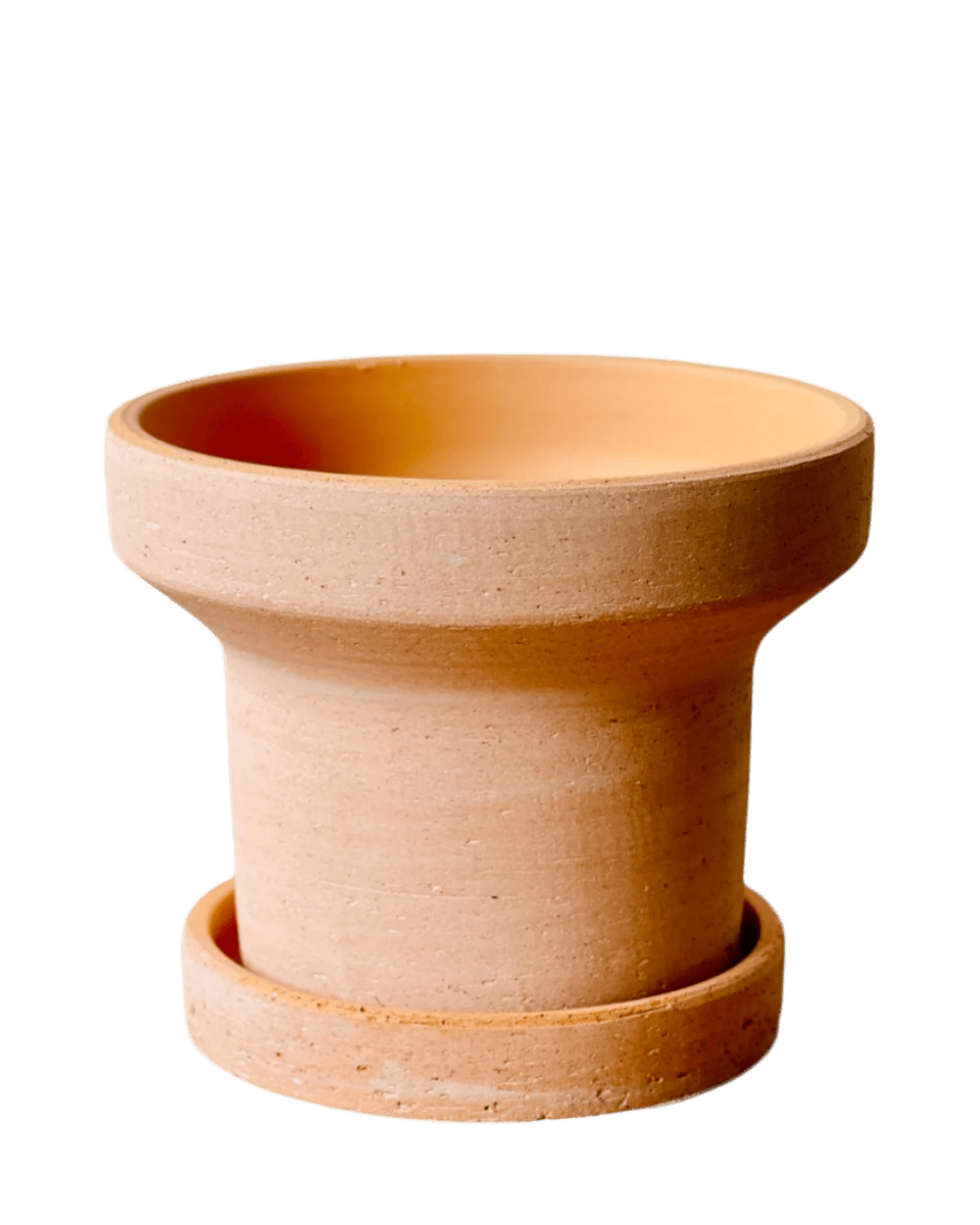 Dara Terracotta Pot - Pots - POTS - DARA - 6422 - Tumbleweed Plants - Online Plant Delivery Singapore