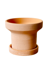 Dara Terracotta Pot - Pots - POTS - DARA - 6422 - Tumbleweed Plants - Online Plant Delivery Singapore