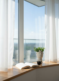 Peperomia Rotundifolia