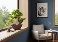 Classic Bonsai - Real-Trunk Artificial