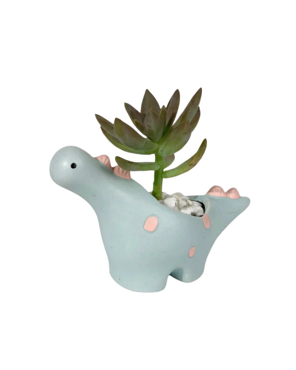 Dino Ceramic Pot - with plant (Style by Tumbleweed) - Pots - Tumbleweed Plants - Online Plant Delivery Singapore