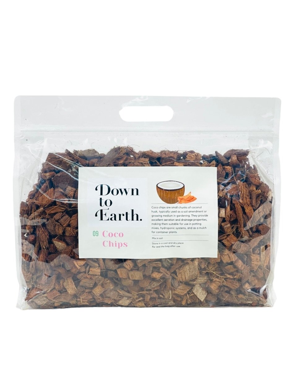 Down To Earth. Coco Chips 09 - Leca balls - Tumbleweed Plants - Online Plant Delivery Singapore