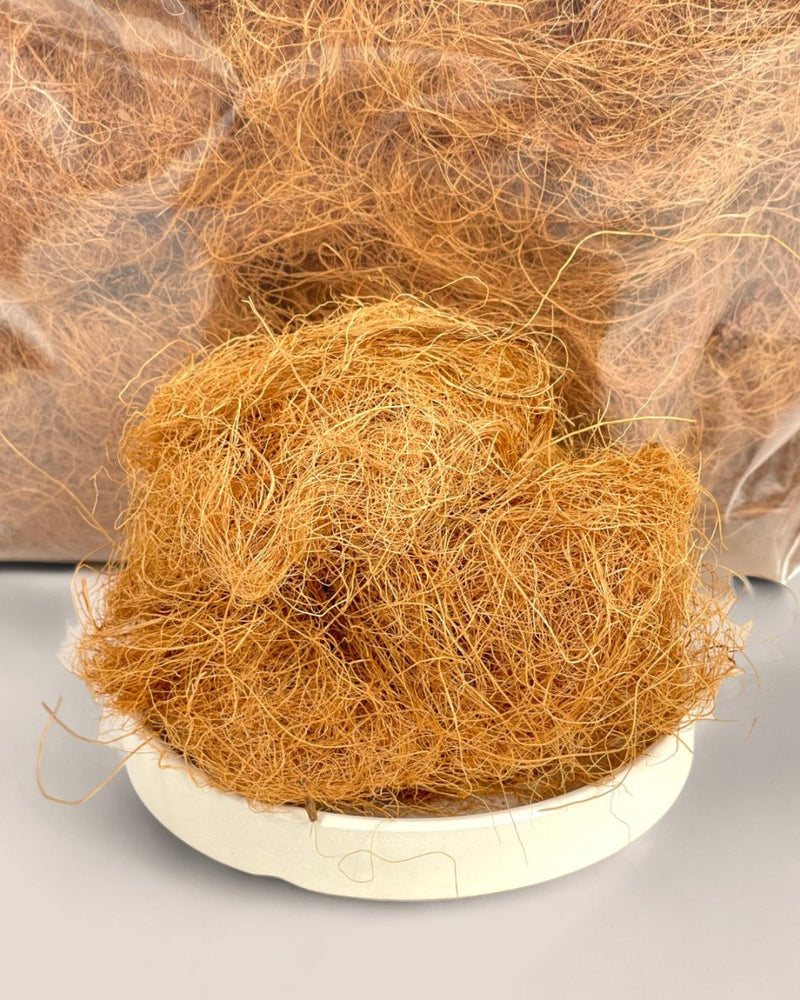 Down to Earth. Coco Coir 07 - small - Potting mix - Tumbleweed Plants - Online Plant Delivery Singapore