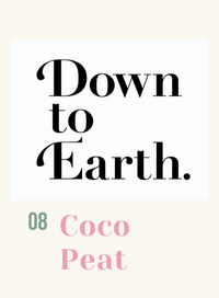 Down To Earth. Coco Peat 08 - Potting mix - Tumbleweed Plants - Online Plant Delivery Singapore