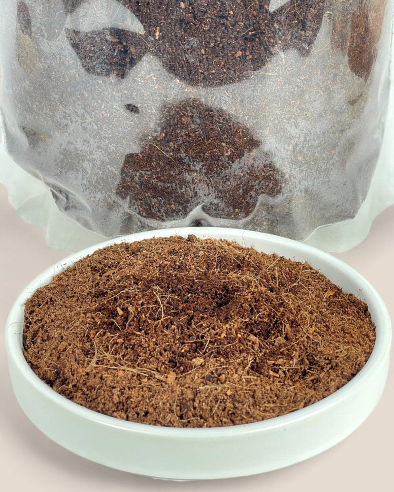 Down To Earth. Coco Peat 08 - Potting mix - Tumbleweed Plants - Online Plant Delivery Singapore