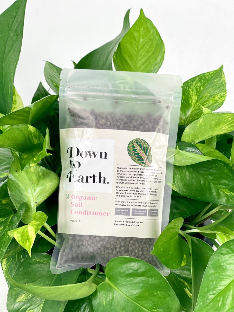 Down To Earth. Organic Soil Conditioner 04 - Soil conditioner - Tumbleweed Plants - Online Plant Delivery Singapore