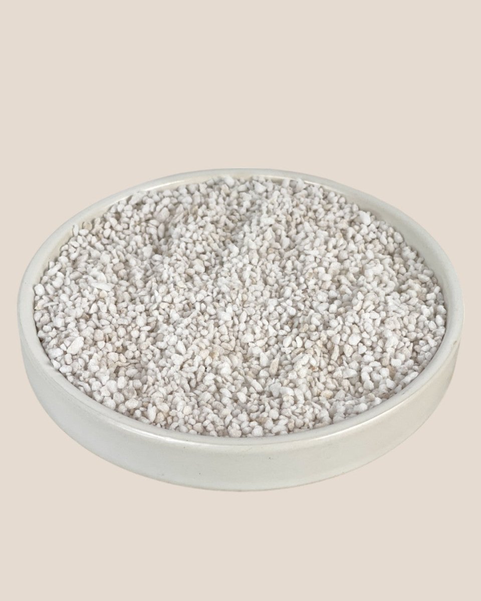 Down To Earth. Perlite 10 - Potting mix - Tumbleweed Plants - Online Plant Delivery Singapore